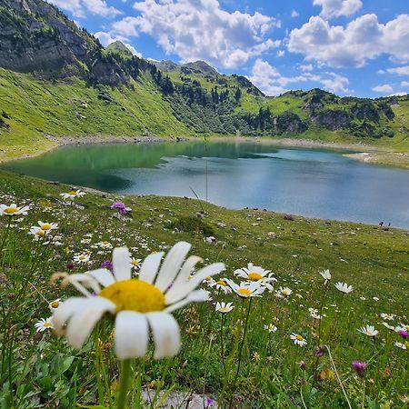 Ferienhaus Amann Шрунс Экстерьер фото