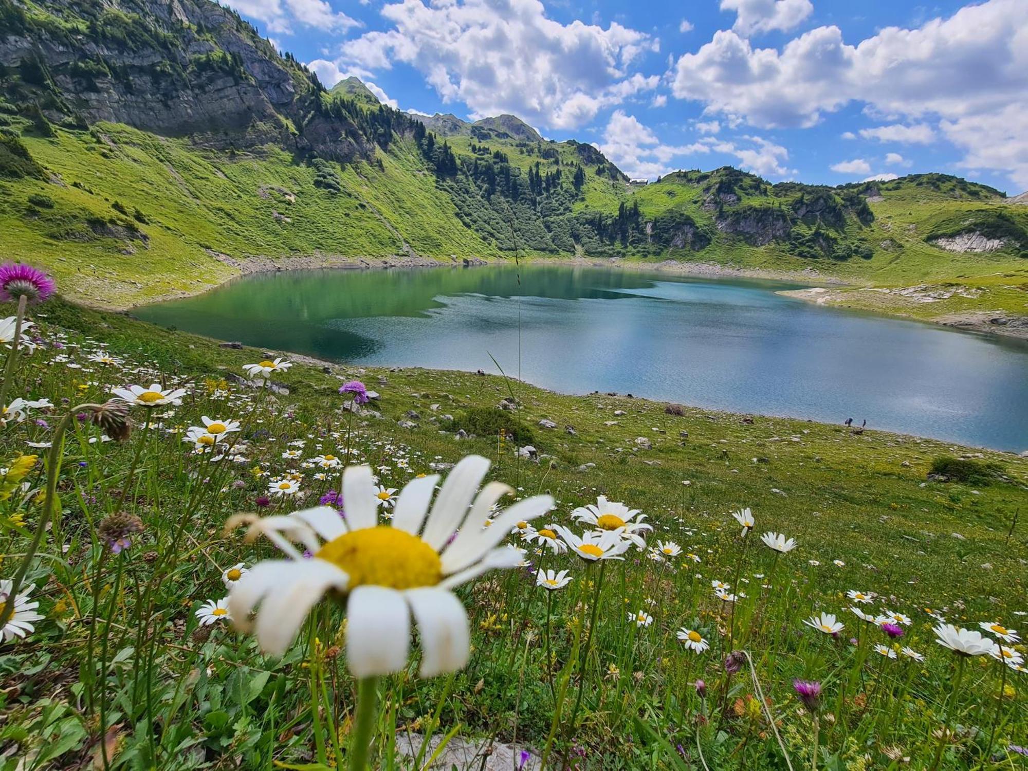 Ferienhaus Amann Шрунс Экстерьер фото